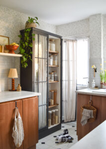 PANTRY WITH ONE DOOR OPEN IN KITCHEN