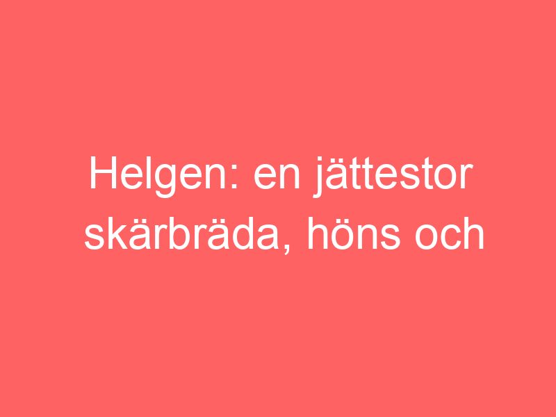 Helgen: En Jättestor Skärbräda, Höns Och Fjällen