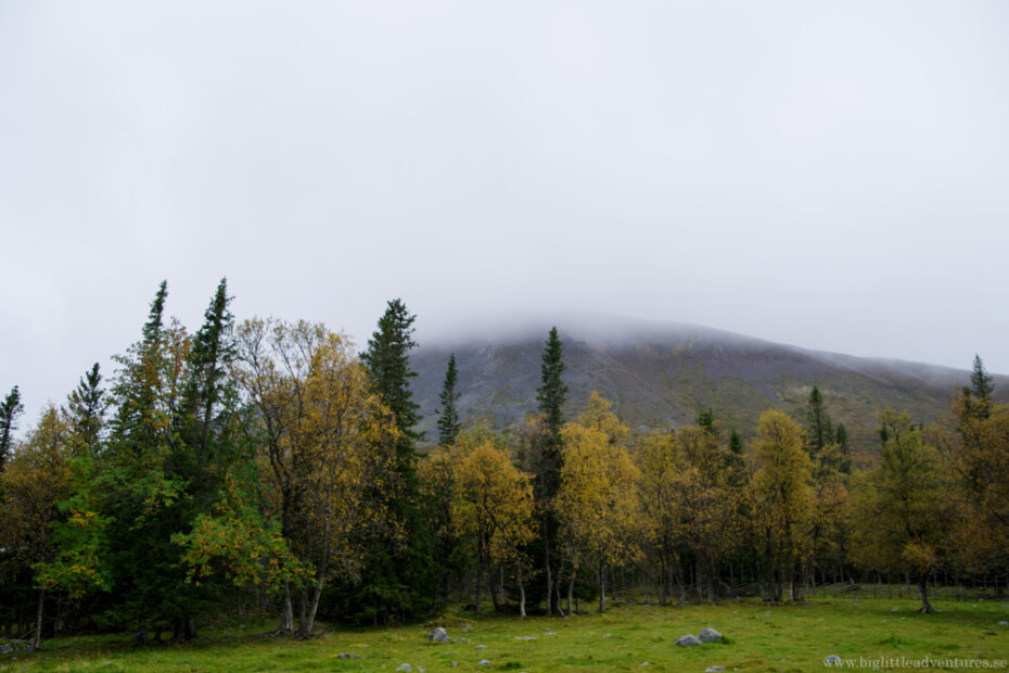 Höst På Fäbovallen