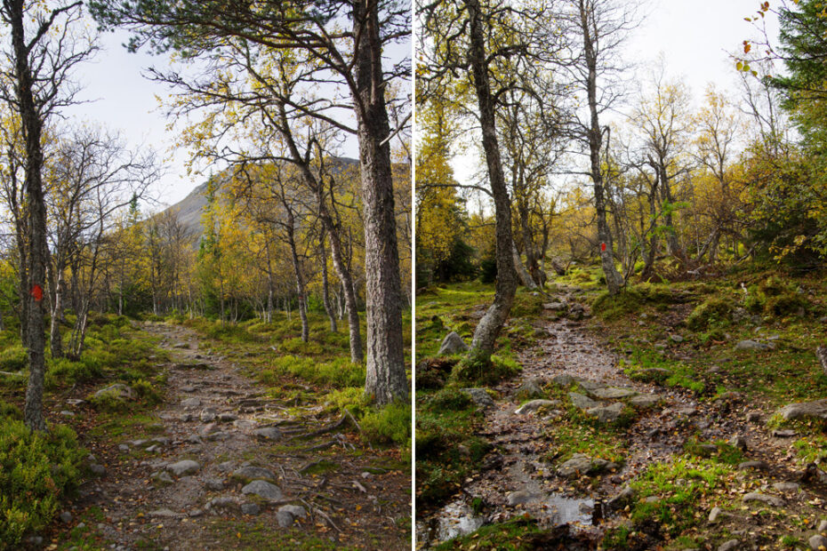 Vandring På Höstfjäll