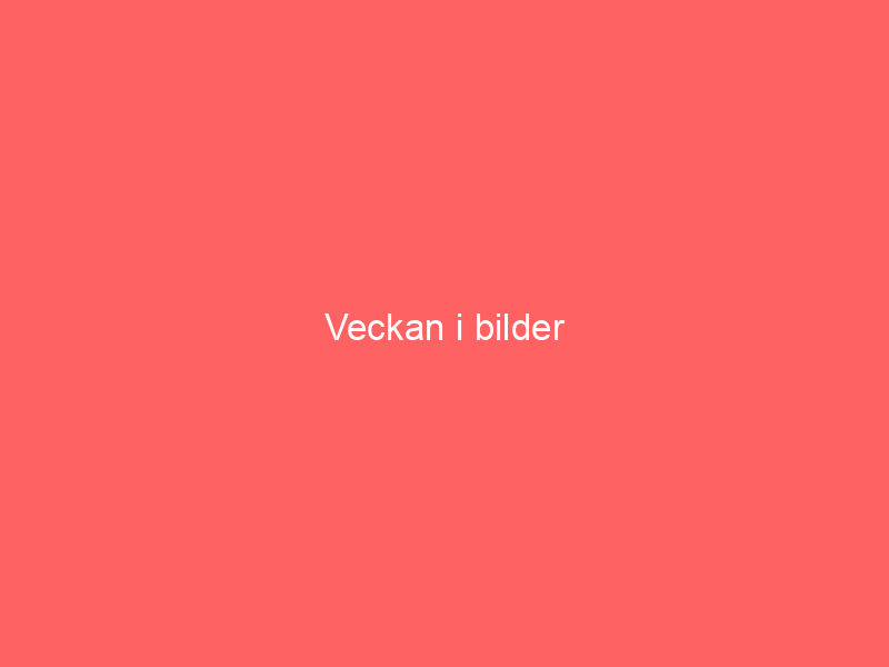 Veckan i bilder