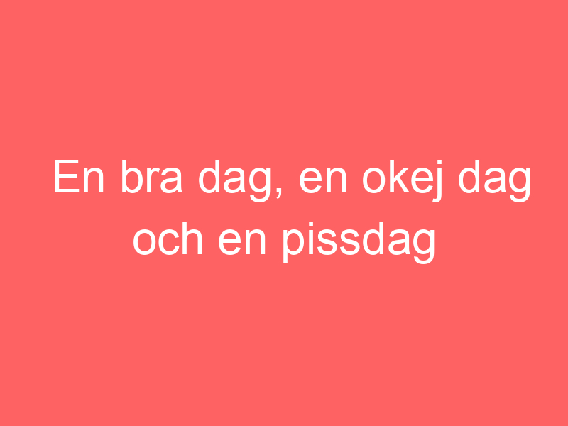 En Bra Dag, En Okej Dag Och En Pissdag