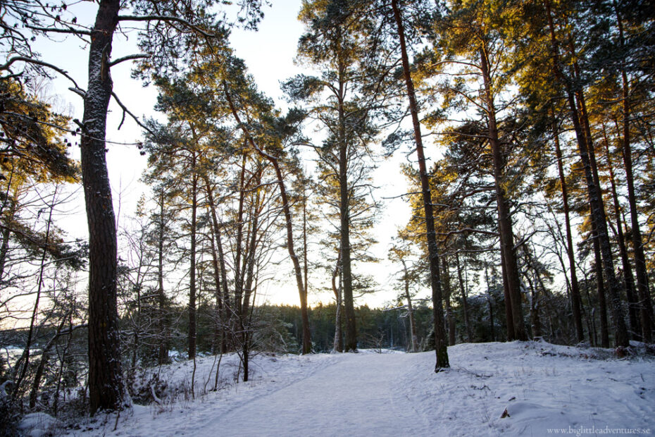 Fika över öppen Eld