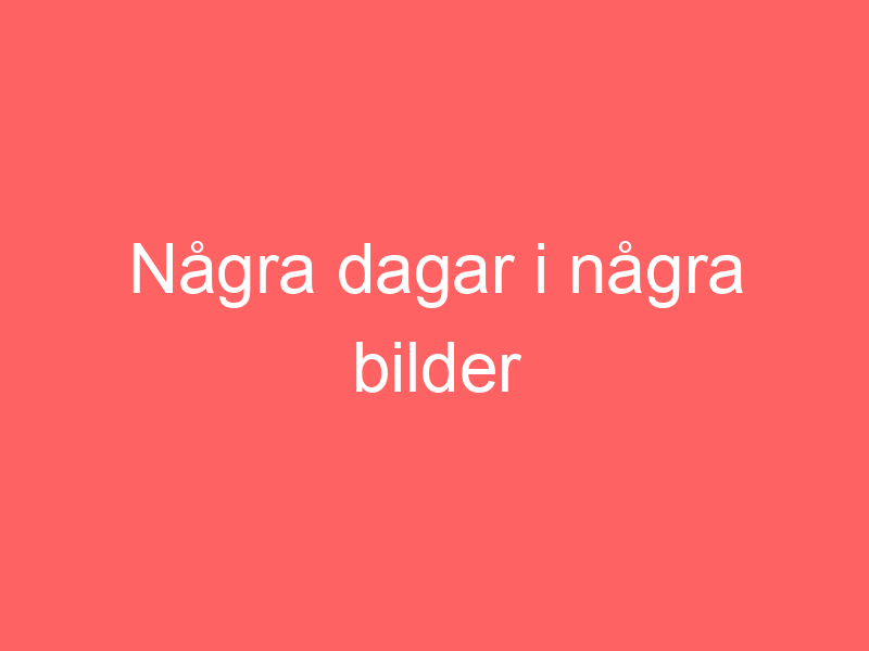 Några Dagar I Några Bilder