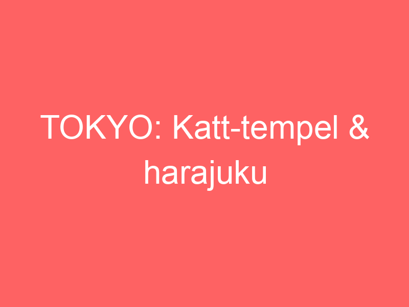 Tokyo: Katt Tempel & Harajuku