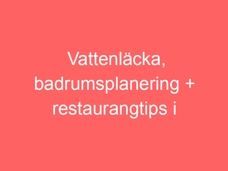 Vattenläcka, Badrumsplanering + Restaurangtips I Årsta!