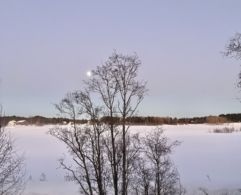 Att Summera Ett Helt Februari!