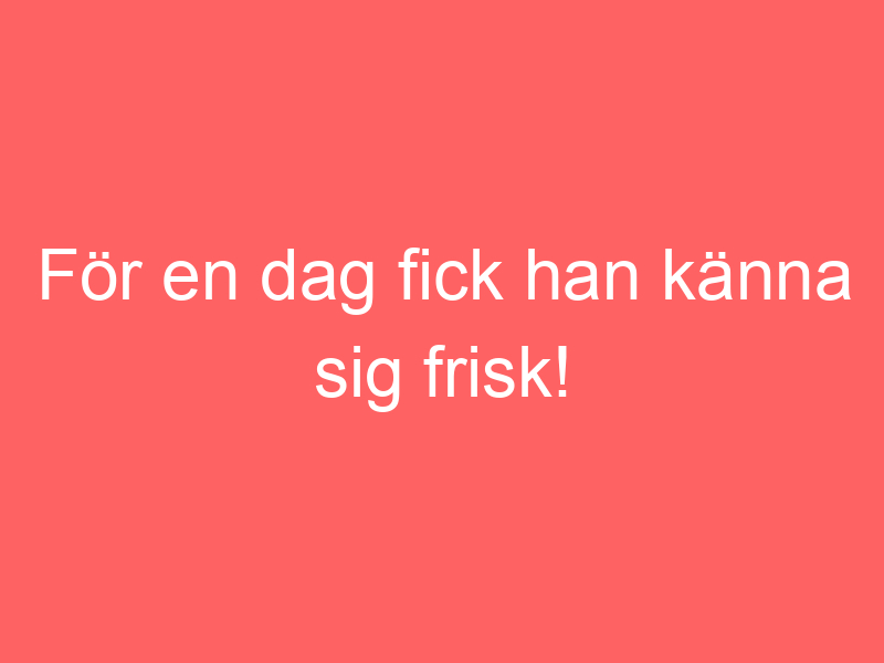 För en dag fick han känna sig frisk!