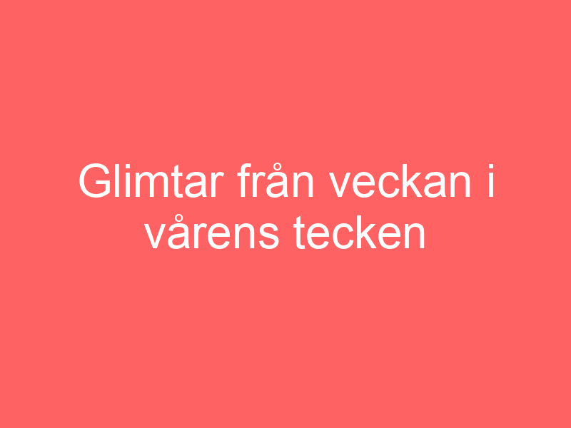 Glimtar från veckan i vårens tecken