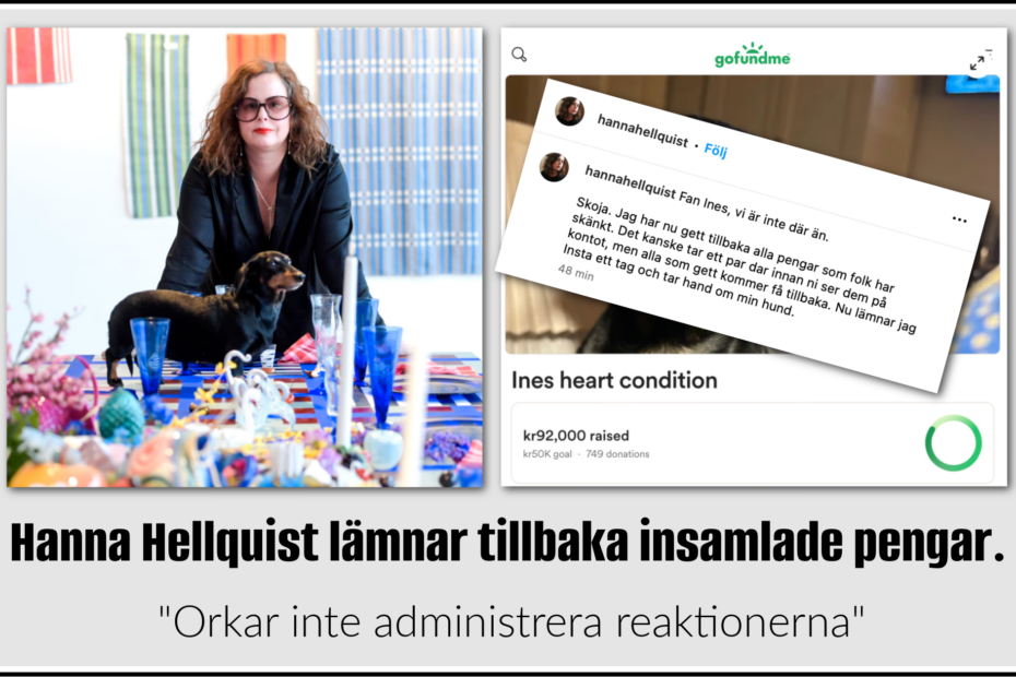 Hanna hellquist ger tillbaka alla pengar