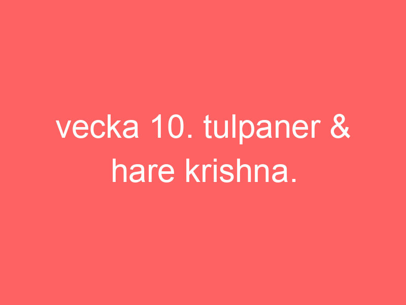 Vecka 10. tulpaner & hare krishna.