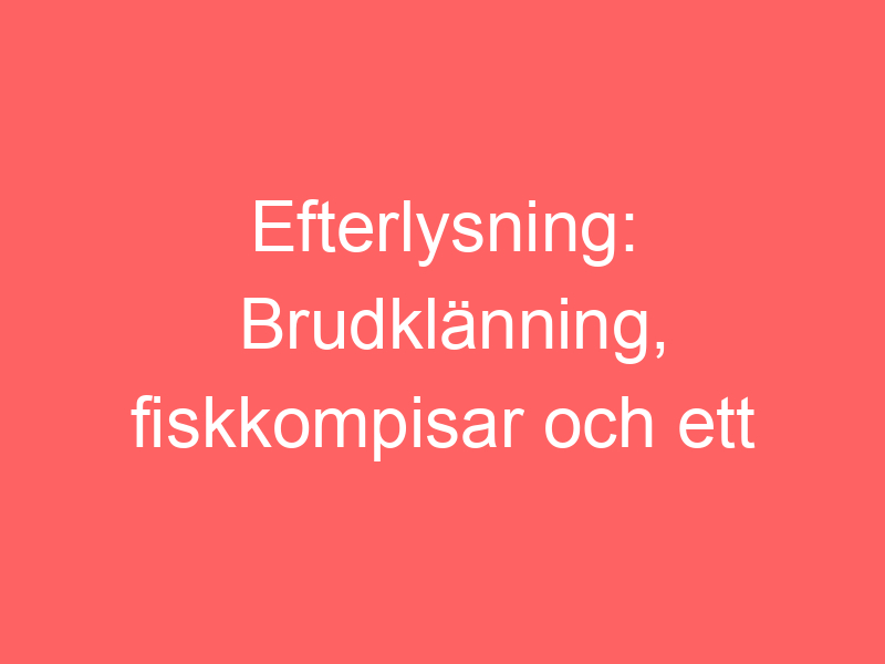 Efterlysning: brudklänning, fiskkompisar och ett viktigt armband