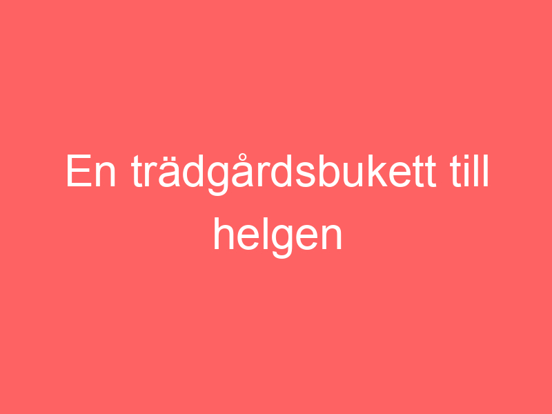 En trädgårdsbukett till helgen