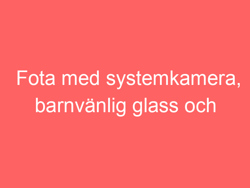 Fota med systemkamera, barnvänlig glass och influencerliv à la hanna friberg?