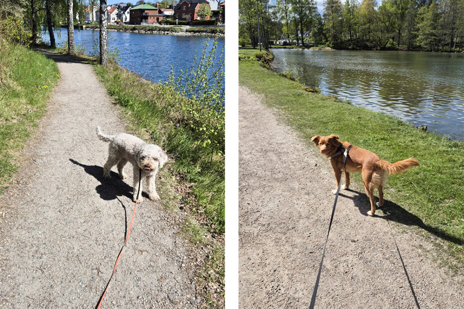 Maj till skillnad från april är en lugnare månad