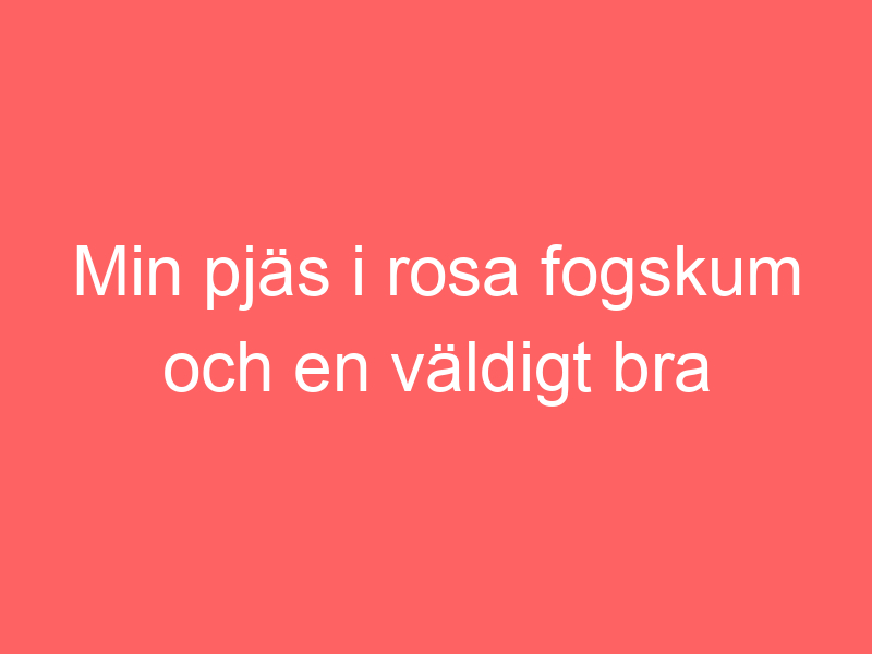 Min pjäs i rosa fogskum och en väldigt bra t shirt
