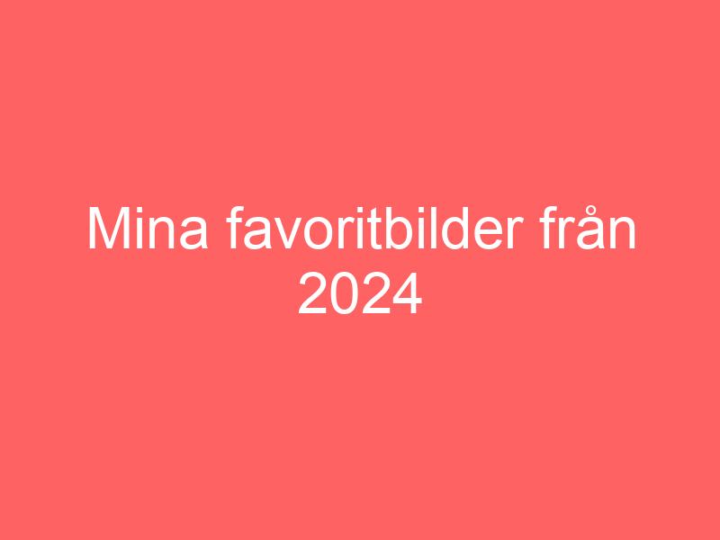 Mina favoritbilder från 2024