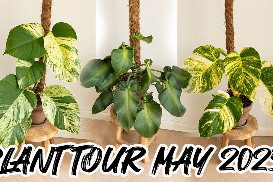 Plant tour maj 2025