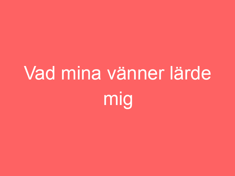 Vad mina vänner lärde mig