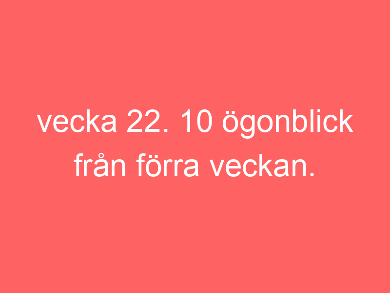 Vecka 22. 10 ögonblick från förra veckan.