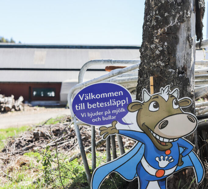 Veras betessläpp!