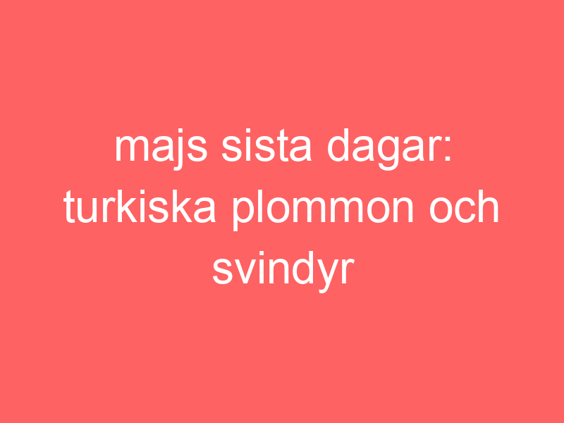 Majs sista dagar: turkiska plommon och svindyr mjukglass.